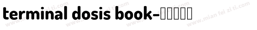terminal dosis book字体转换